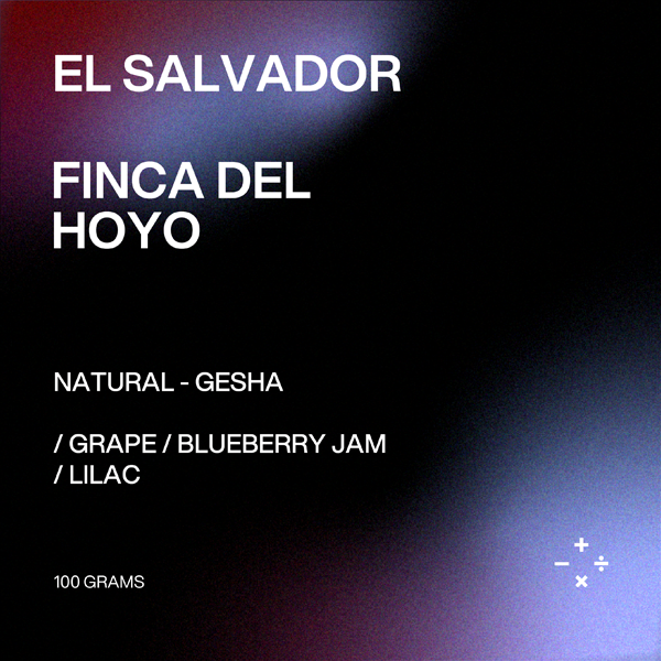 Fitler - El Salvador, Finca Del Hoyo, Gesha