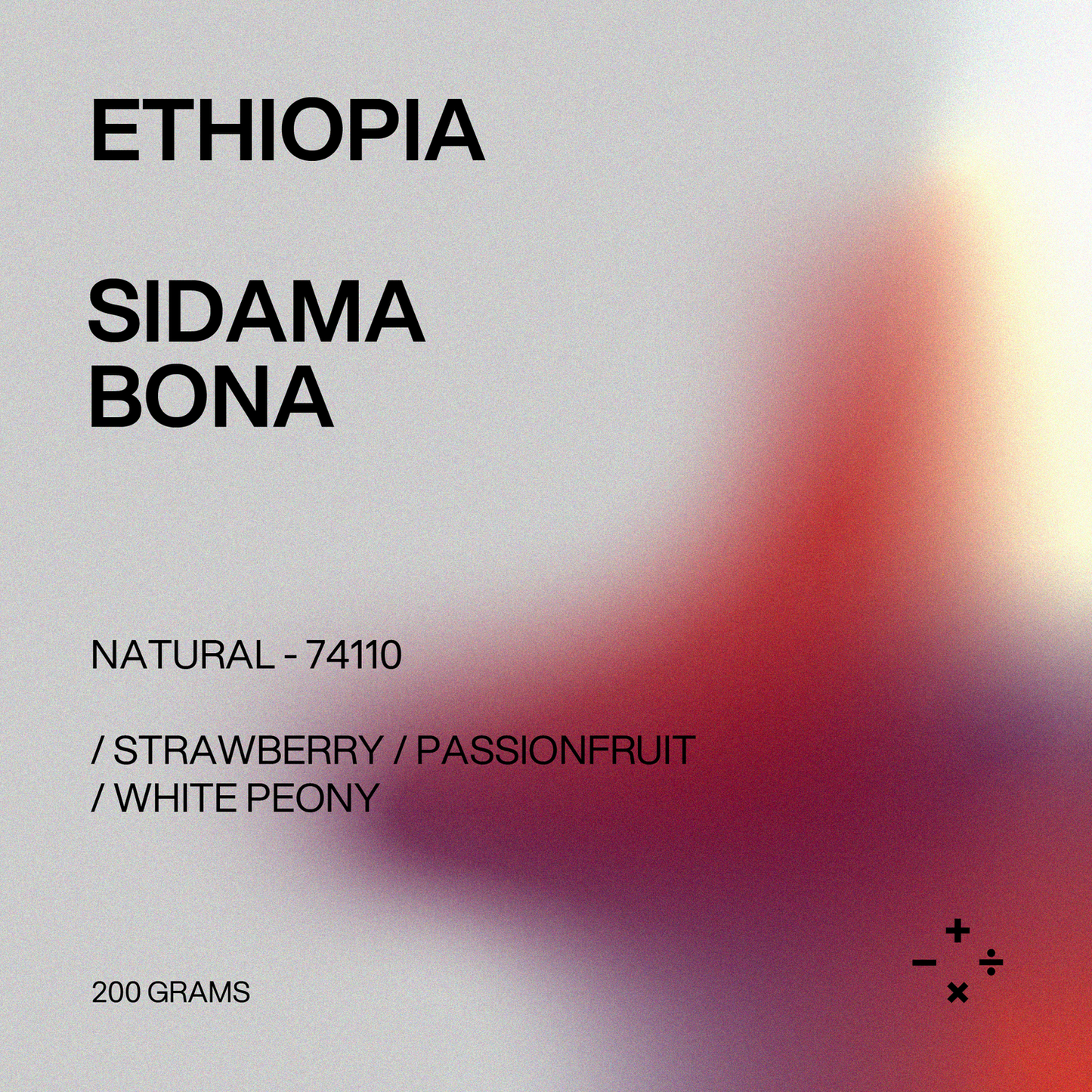 Filter - Ethiopia, Sidama, Bona