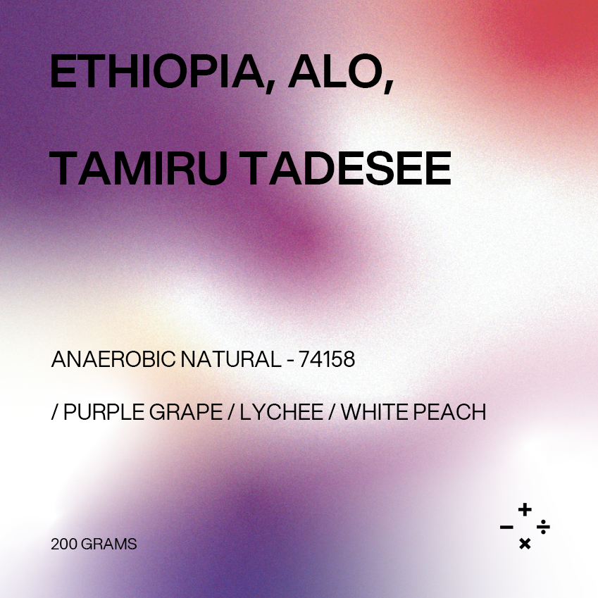 Filter - Ethiopia, Alo, Tamiru Tadesse