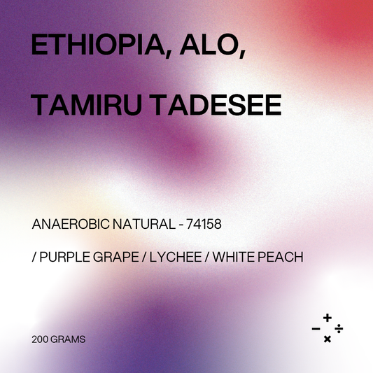 Filter - Ethiopia, Alo, Tamiru Tadesse