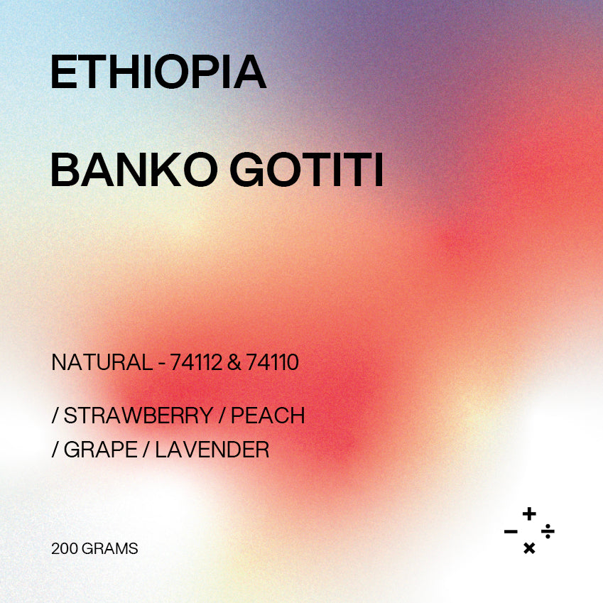 Filter - Ethiopia, Banko Gotiti