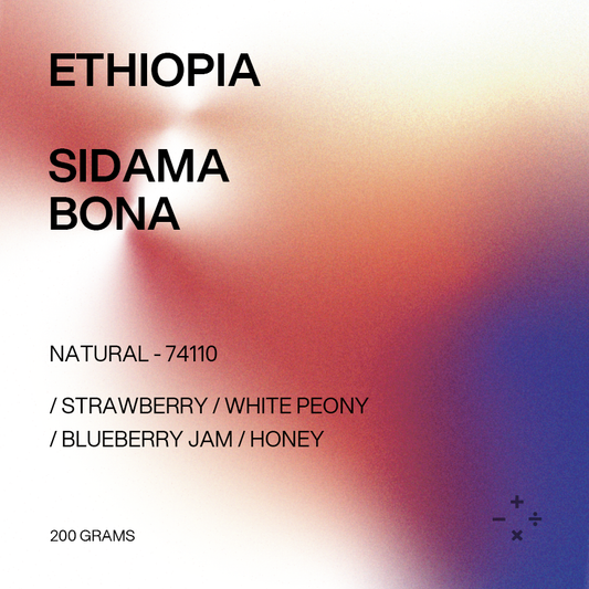 Filter - Ethiopia, Sidama, Bona