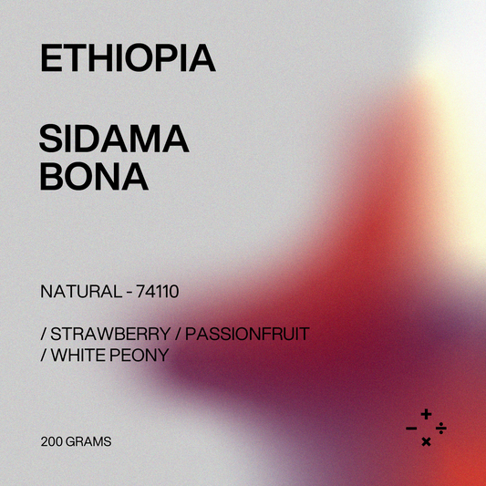 Filter - Ethiopia, Sidama, Bona